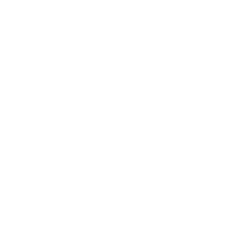 CT Watches
